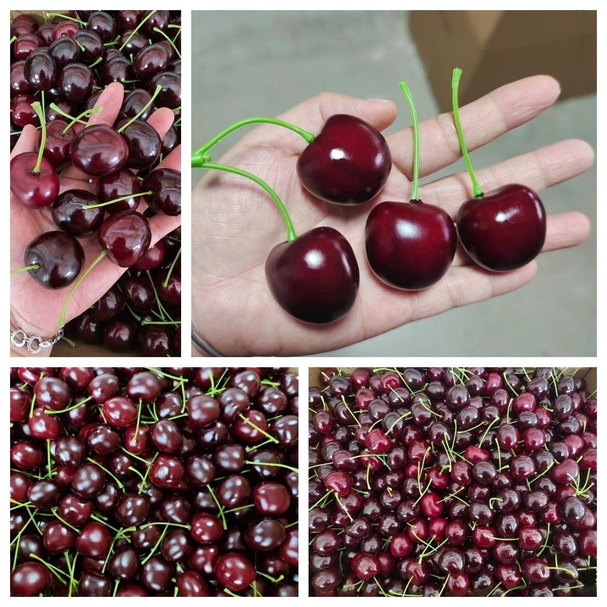 Simulation Cherry Model Photography Props Artificial Cherry Polyfoam Crafts Cherry Fruit Decorations Fake Artificial Cherry Foam