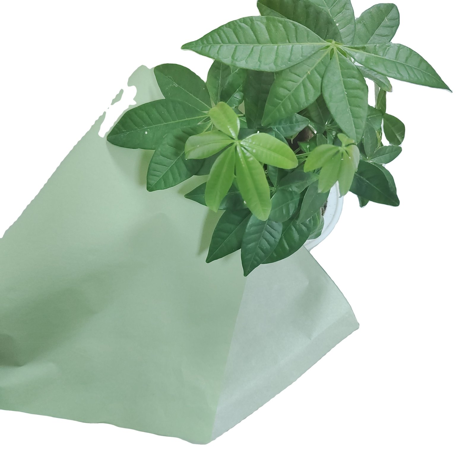 Wholesale Solid Color Corrugated Paper Art Craft Handmade Flowers Christmas Bouquet Gift Flowers Wrapping Paper