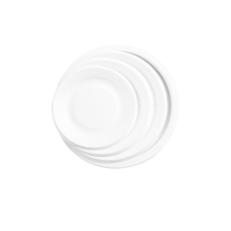 White Eco-Friendly Disposable Paper Plates for Children's Painting Drawing Graffiti DIY Crafts-Kindergarten Use