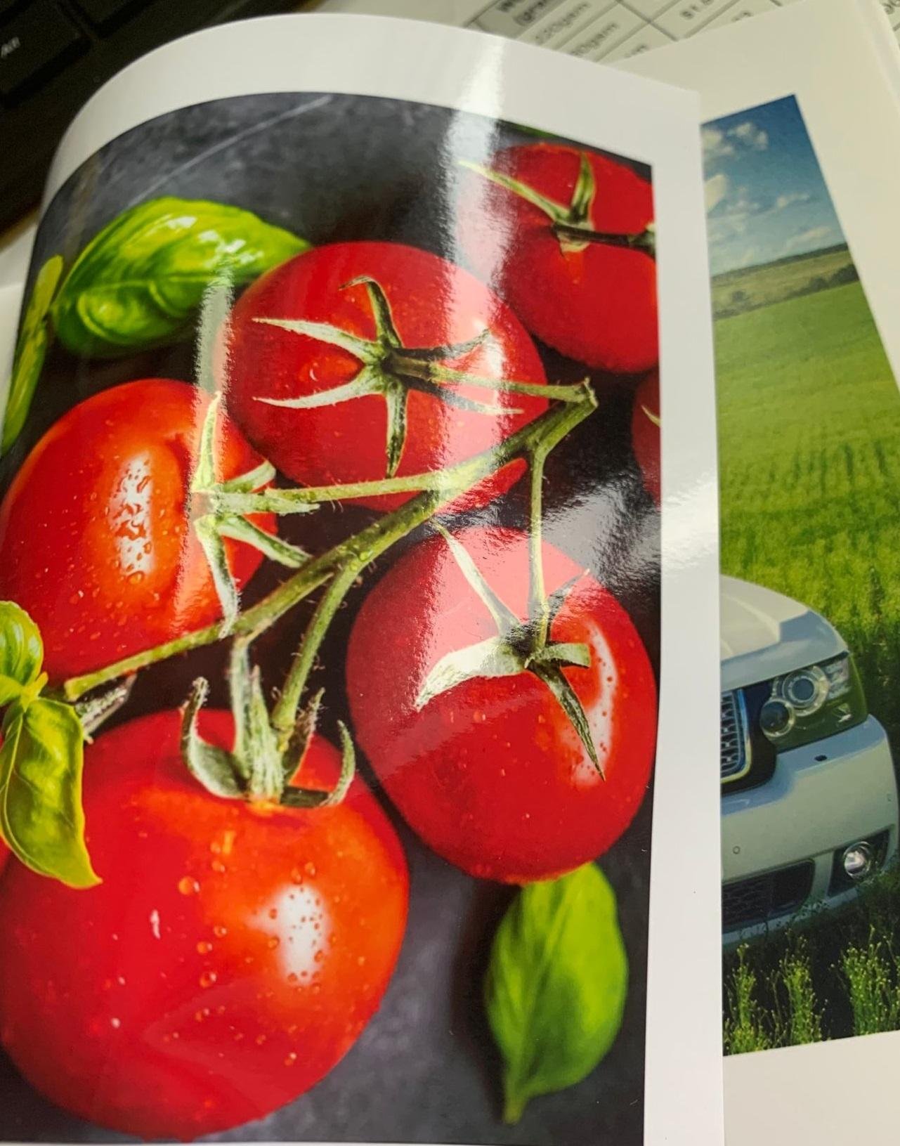 180gsm Inkjet A4/A4/4R/5R/7R Hot Sale Photo Paper Glossy Paper Print Photo