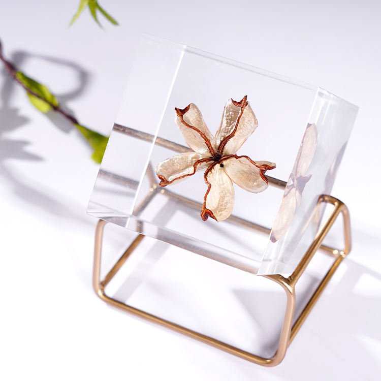 2.36*2.36 Inch Cube Specimen Clear Acrylic Seed Embedding Home Decoration Creative Nature Paperweight Artifact Block Decoration