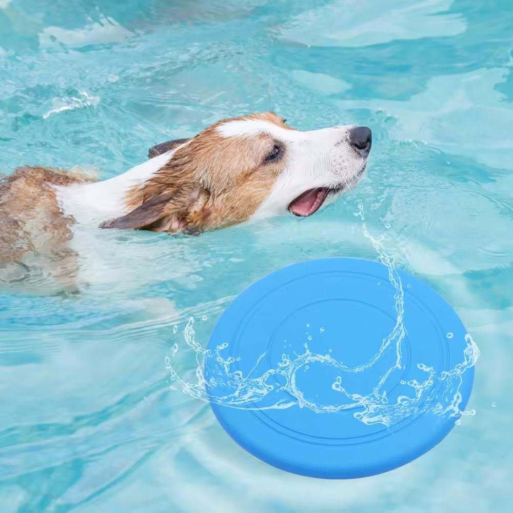Promotional Toys Educational Flying Disc