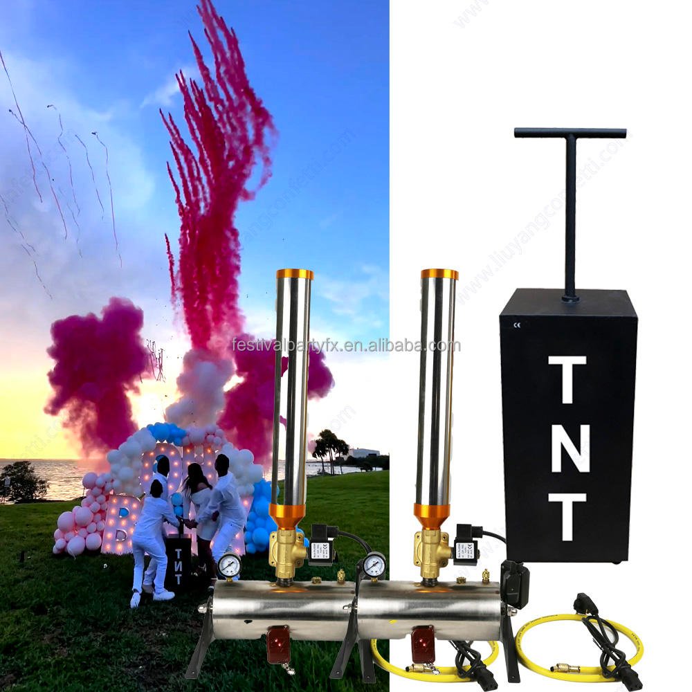 Electronic Remote Control Confetti Powder Sprays Outdoor Fireworks Wedding Party Baby Shower-Promotional Party Supplies