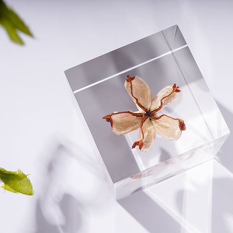 2.36*2.36 Inch Cube Specimen Clear Acrylic Seed Embedding Home Decoration Creative Nature Paperweight Artifact Block Decoration
