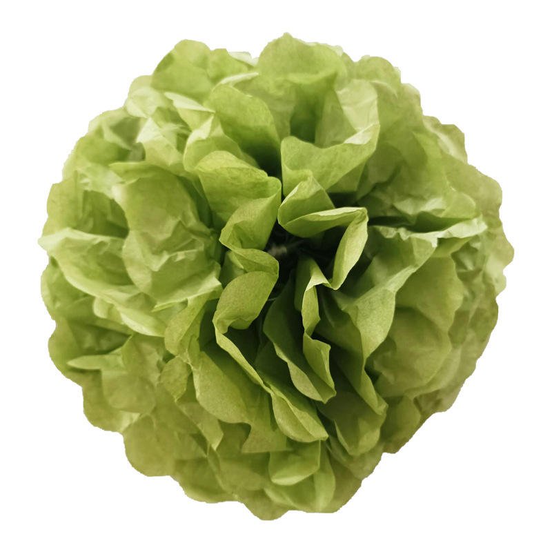 10PCS Tissue Paper Flower DIY Crafts Hanging Paper Flower Paper Poms Wedding Birthday Party Decoration