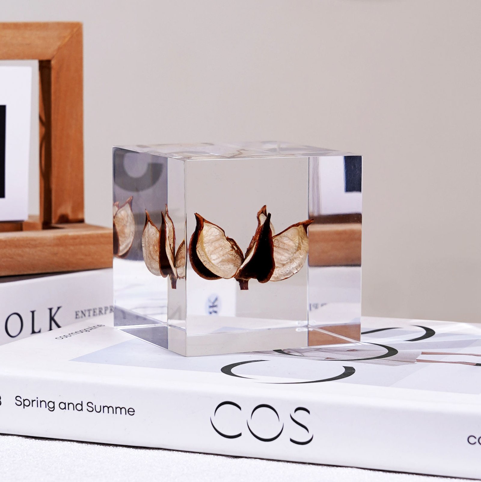 2.36*2.36 Inch Cube Specimen Clear Acrylic Seed Embedding Home Decoration Creative Nature Paperweight Artifact Block Decoration